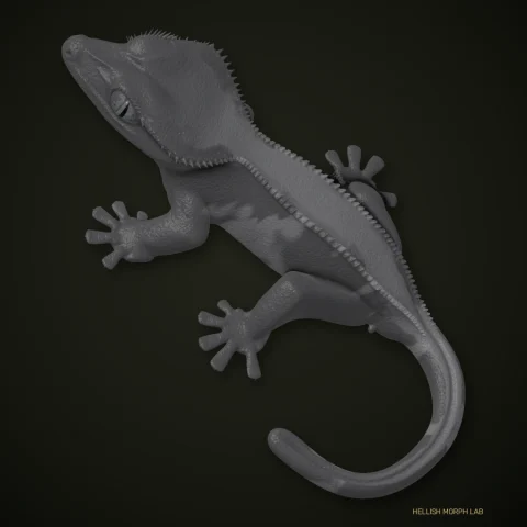 Axanthic Phantom crested gecko