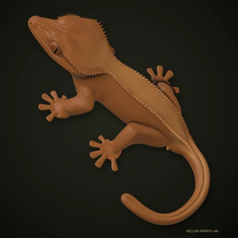 Phantom Pinstripe crested gecko