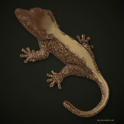 Pixel crested gecko