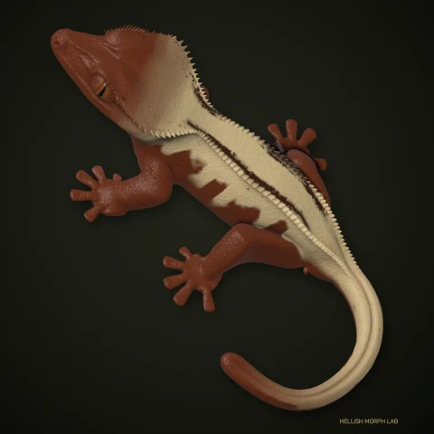 Reverse Pinstripe crested gecko