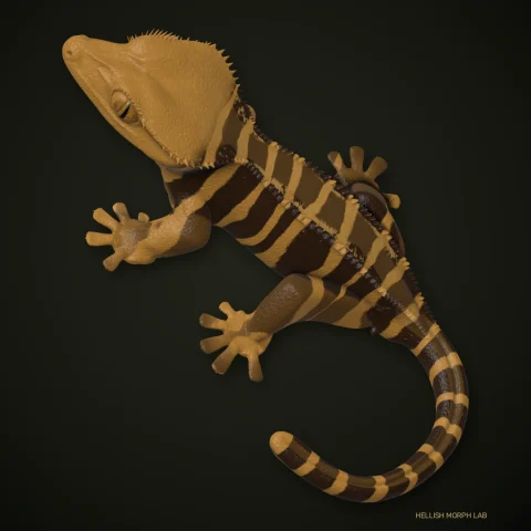 Super Tiger crested gecko