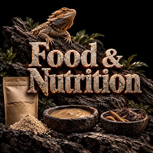 Reptile food and nutrition products with a bearded dragon and geckos