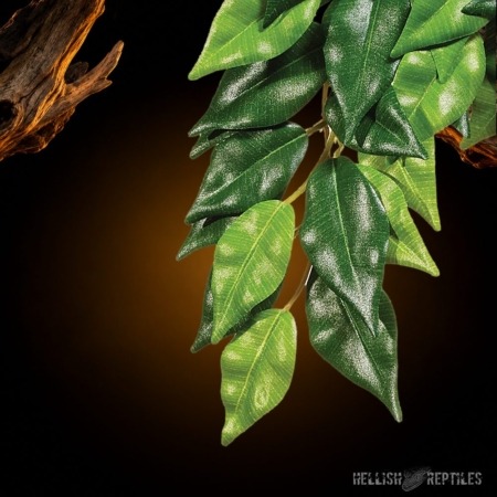 Exo Terra Ficus