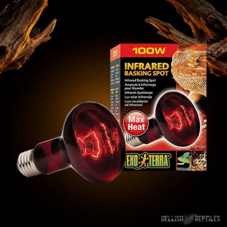 Exo Terra Infrared Basking Spot 100W