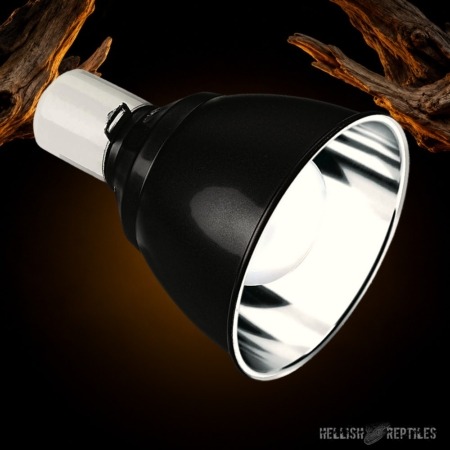 Exo Terra Light Dome
