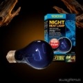 Exo Terra Night Heat Lamp 100W