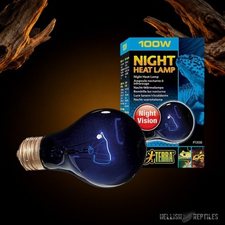 Exo Terra Night Heat Lamp 100W