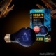 Exo Terra Night Heat Lamp 100W