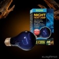 Exo Terra Night Heat Lamp 50W