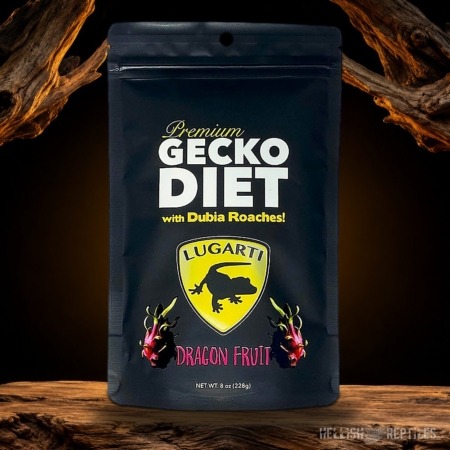 Lugarti gecko diet dragon fruit