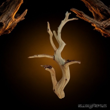 Lugarti ghost wood