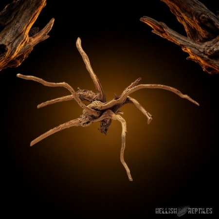 Lugarti spider wood