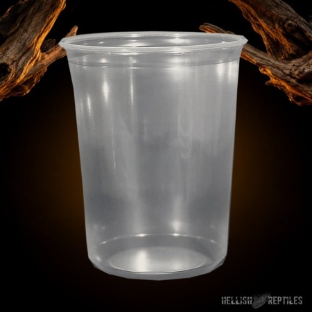 32 oz fruit fly deli cups