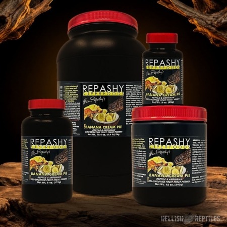 Repashy Banana Cream Pie jars in all sizes
