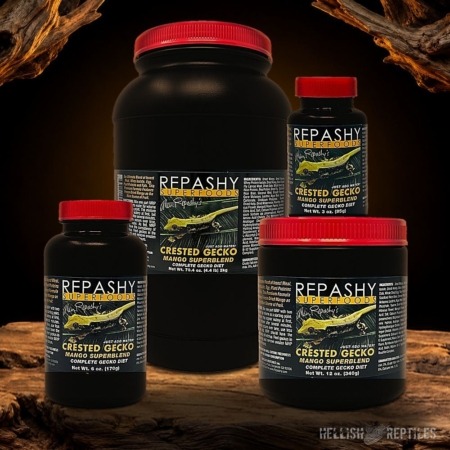 Repashy Crested Gecko Diet Mango Superblend jars in all sizes