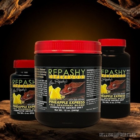 Repashy Crested Gecko Diet Pineapple Express jars in all sizes