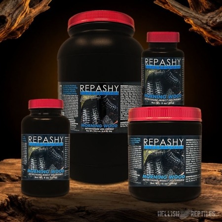 Repashy Morning Wood Isopod jars in all sizes