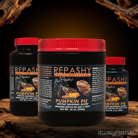 Repashy Pumpkin Pie jars in all sizes
